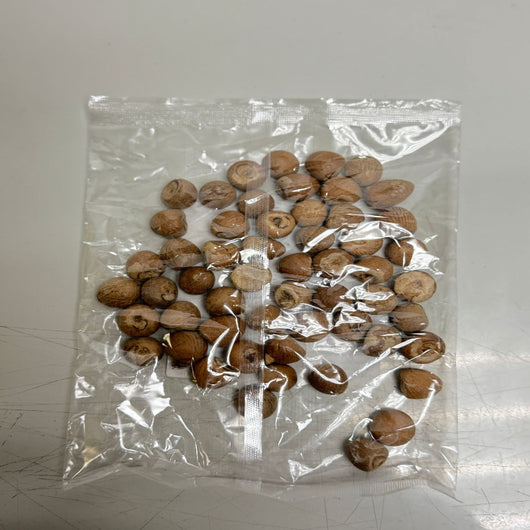 Zyka Foods Supari Areca Nut 200g – Premium Indian Betel Nuts Online UK